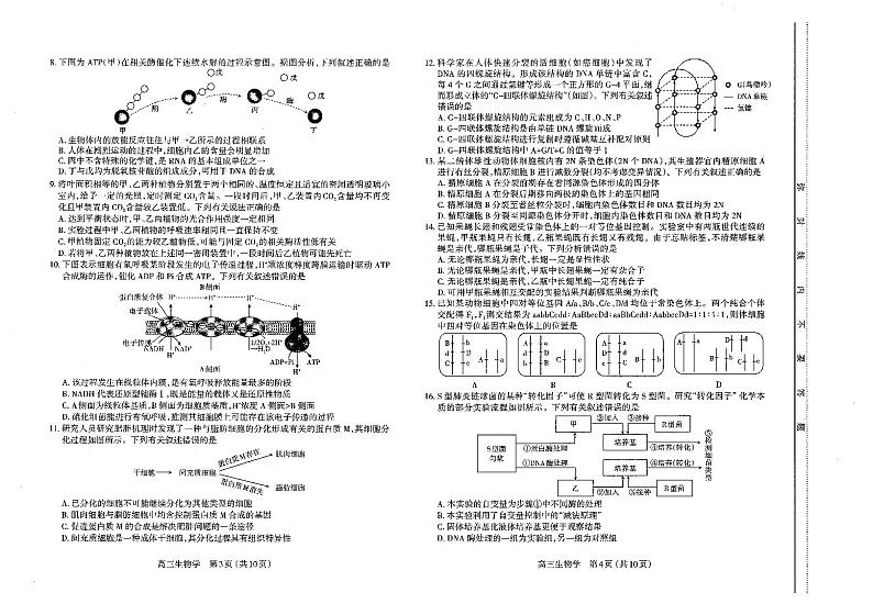 2022-2023学年山西省太原市高三上学期期末考试生物PDF版含答案02