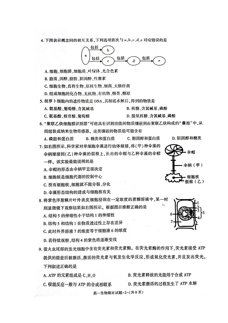 2022-2023学年陕西省咸阳市高一上学期期末生物试题扫描版03