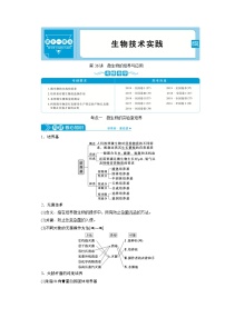 高中生物高考1　第十一单元　第36讲　微生物的培养与应用