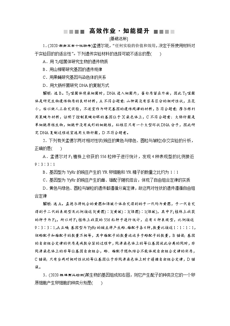 高中生物高考2 第14讲　高效作业知能提升第1页