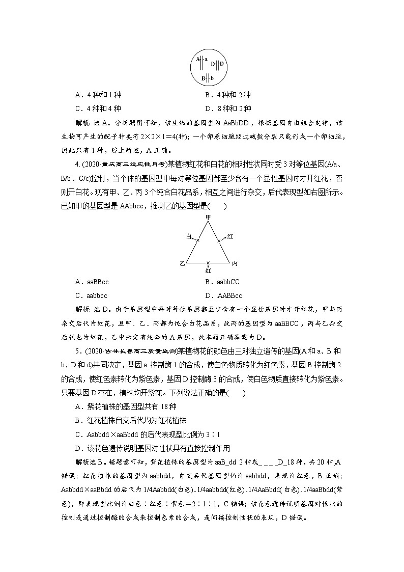 高中生物高考2 第14讲　高效作业知能提升第2页