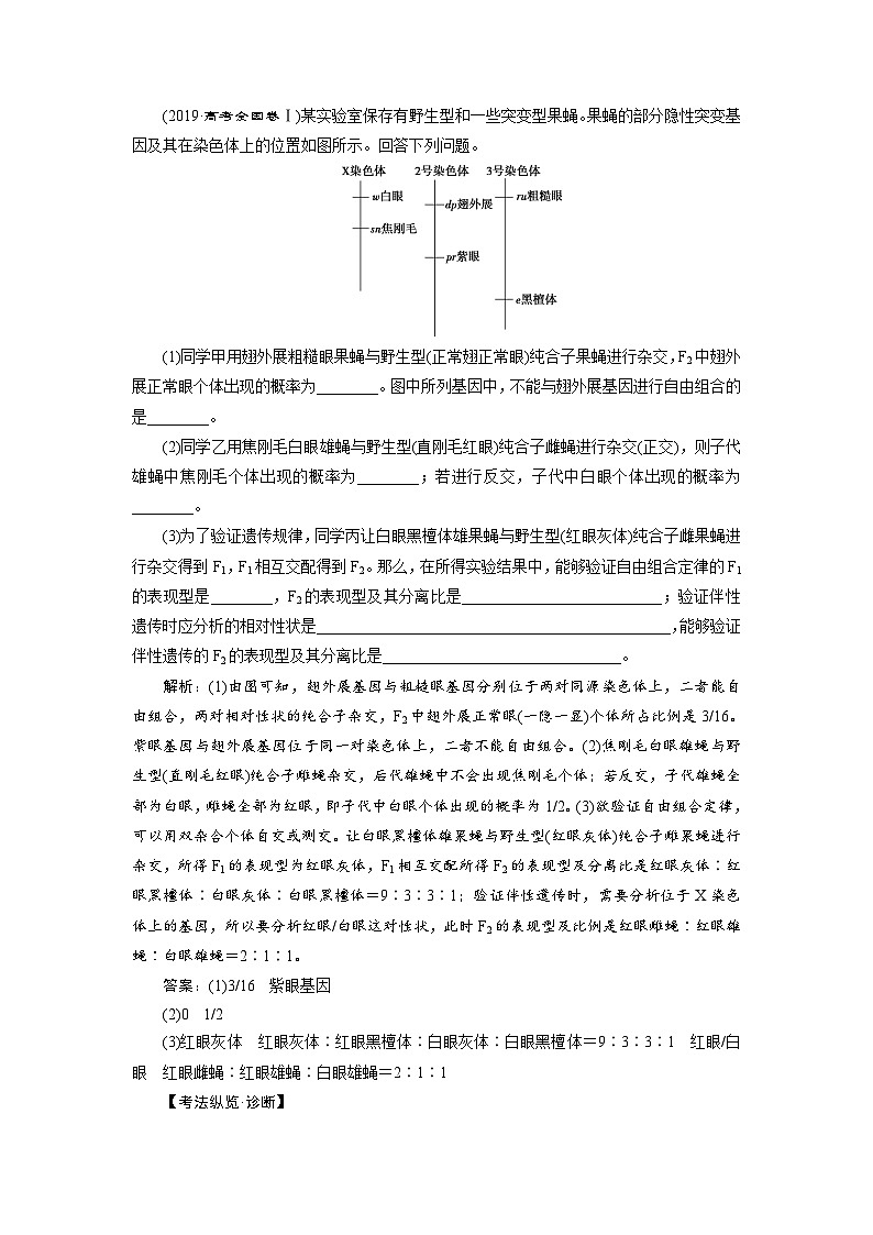 高中生物高考2 第14讲　基因的自由组合定律第3页