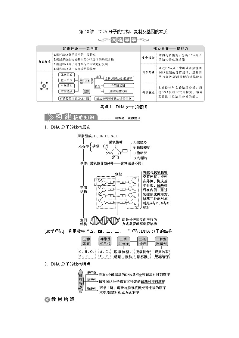 高中生物高考2 第18讲　DNA分子的结构、复制及基因的本质 试卷01