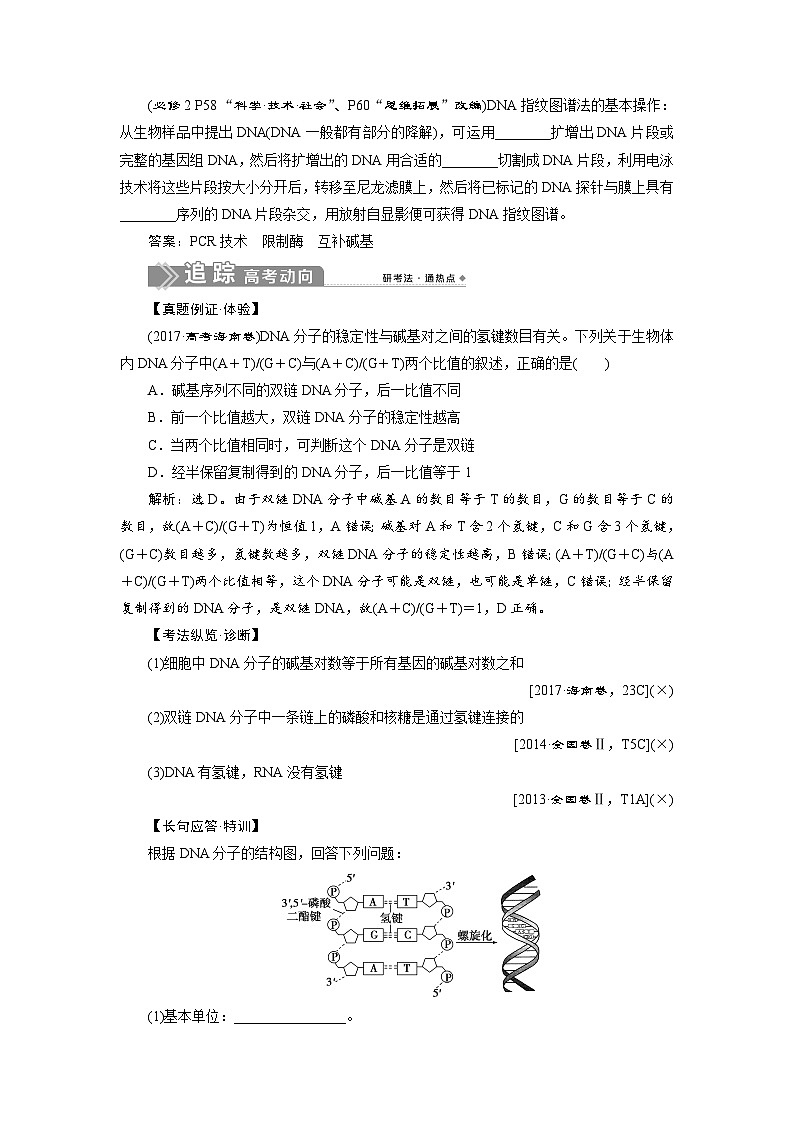 高中生物高考2 第18讲　DNA分子的结构、复制及基因的本质 试卷02