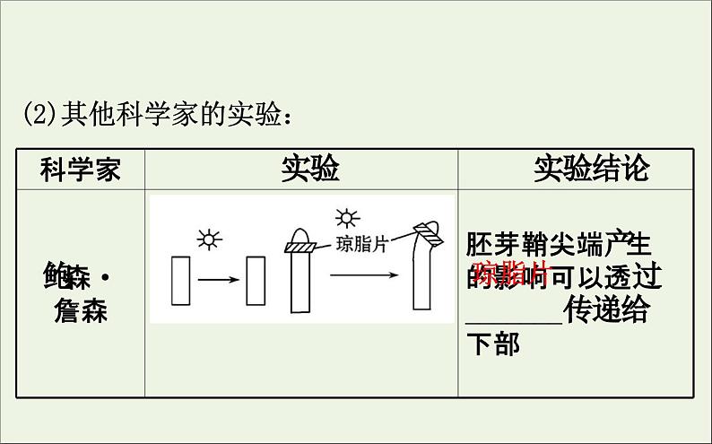 高中生物高考2020届高考生物一轮复习8 5植物的激素调节课件 8707