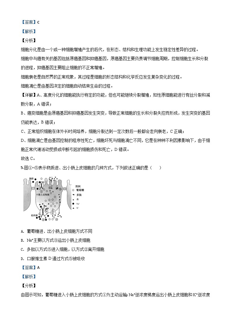 高中生物高考精品解析：2020年江苏省高考生物试卷（解析版）03
