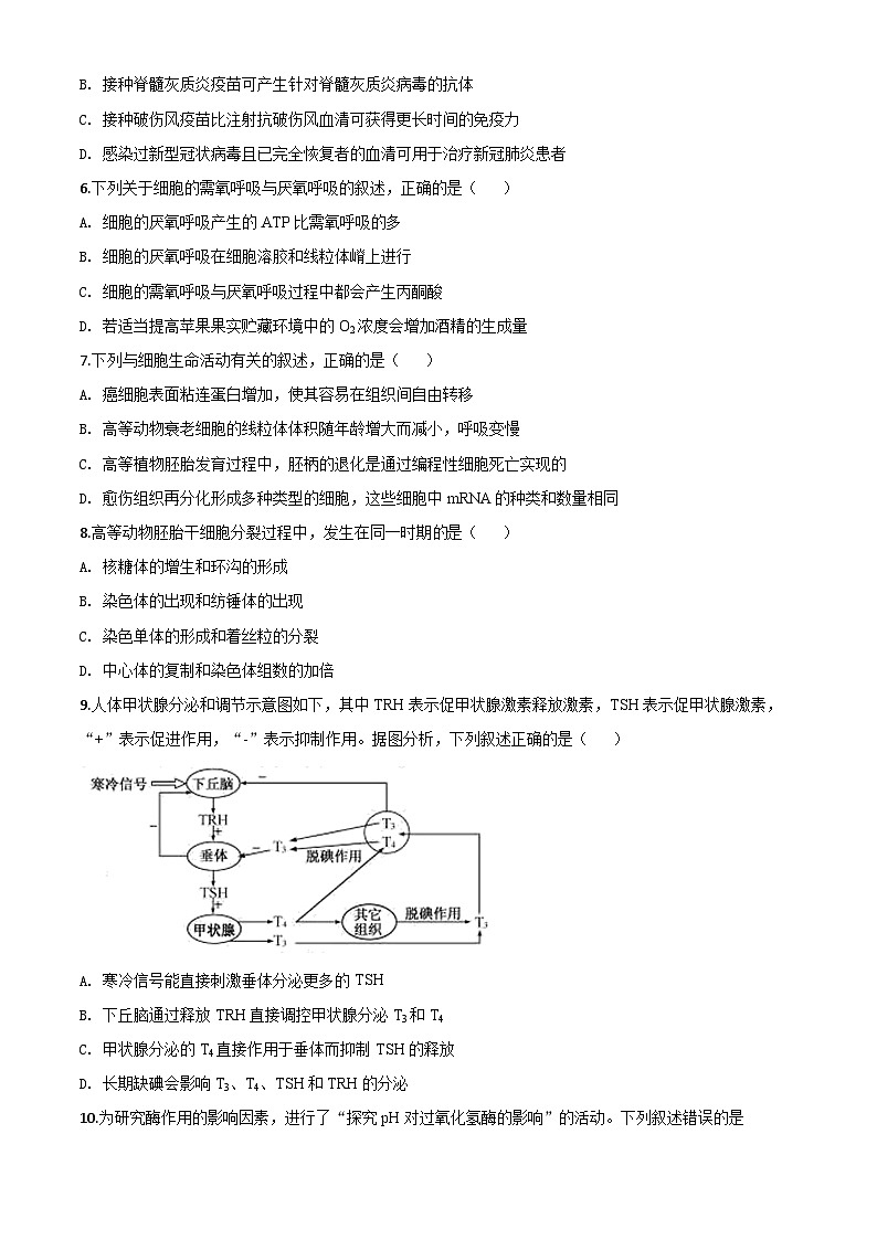 高中生物高考精品解析：2020年浙江省高考生物试卷（7月选考）（原卷版）第2页