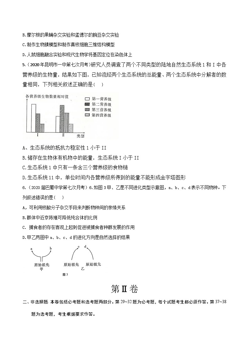 高中生物高考卷04-备战2021年高考生物【名校地市好题必刷】全真模拟卷·3月卷（新课标专用）（原卷版）第2页