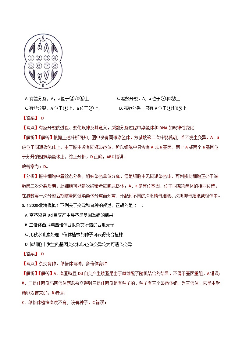 高中生物高考卷05-备战2021年高考生物【名校地市好题必刷】全真模拟卷·1月卷（新课标专用）（解析版）第2页