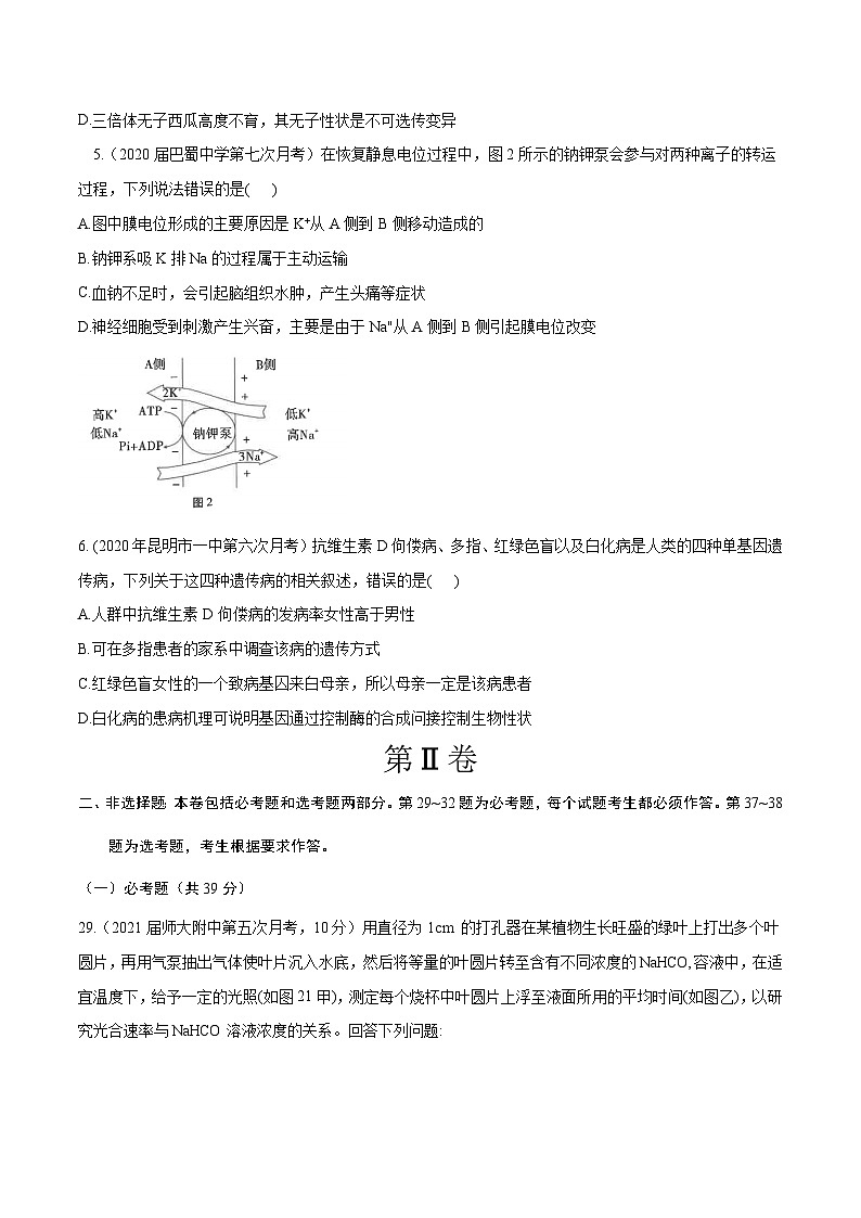 高中生物高考卷06-备战2021年高考生物【名校地市好题必刷】全真模拟卷·3月卷（新课标专用）（原卷版）第2页