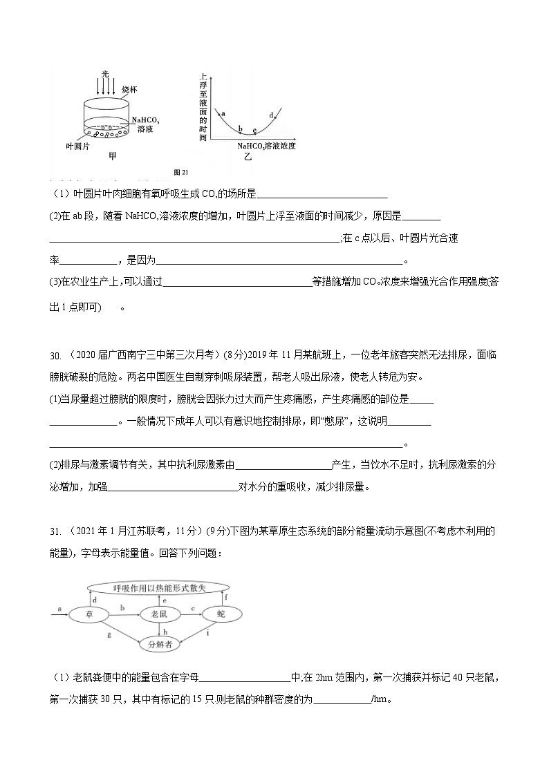 高中生物高考卷06-备战2021年高考生物【名校地市好题必刷】全真模拟卷·3月卷（新课标专用）（原卷版）第3页