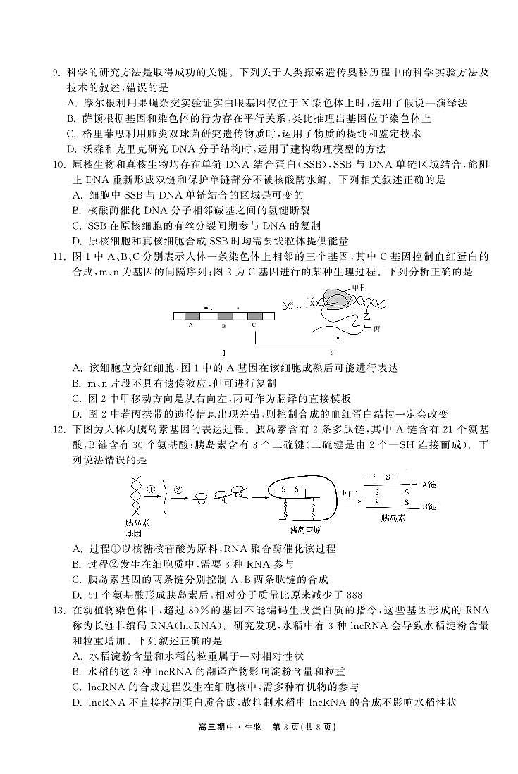 生物试题第3页
