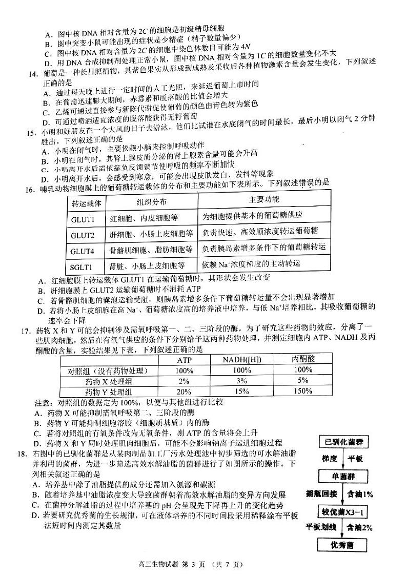 2022-2023学年浙江省91高中联盟高三上学期11月期中考试生物试题PDF版含答案03