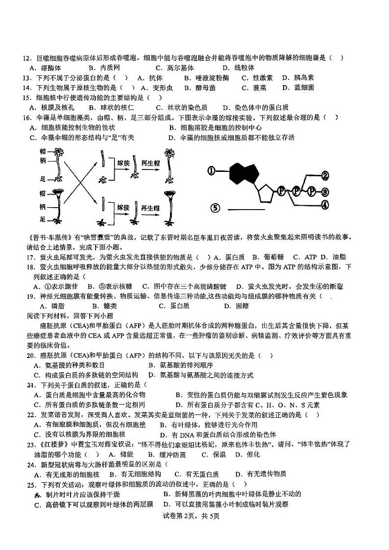 浙江省台州市康桥中学2022—2023学年高一上学期期中考试生物试卷02