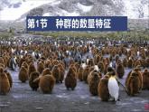 高中生物选择性必修二 1 1 种群的数量特征 课件练习题
