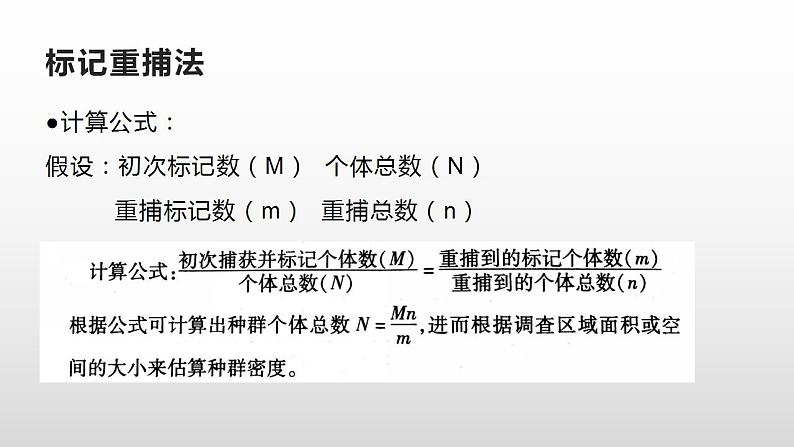 高中生物选择性必修二 1 1 种群的数量特征 课件练习题第6页