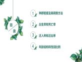 高中生物选择性必修二 1 1 种群的数量特征（第二课时）精品课件练习题
