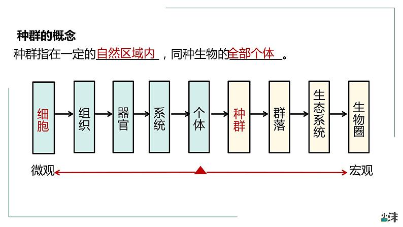 高中生物选择性必修二 1 1 种群的数量特征（第一课时）精品课件练习题第2页