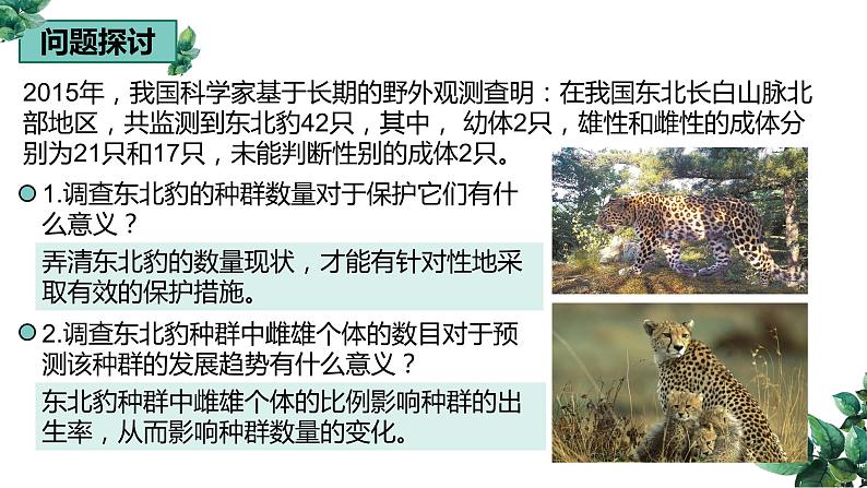 高中生物选择性必修二 1 1 种群的数量特征（第一课时）精品课件练习题第3页