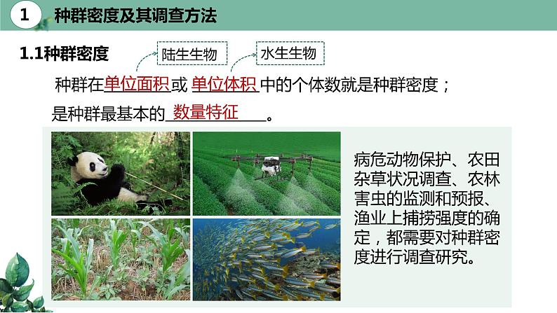 高中生物选择性必修二 1 1 种群的数量特征（第一课时）精品课件练习题第6页