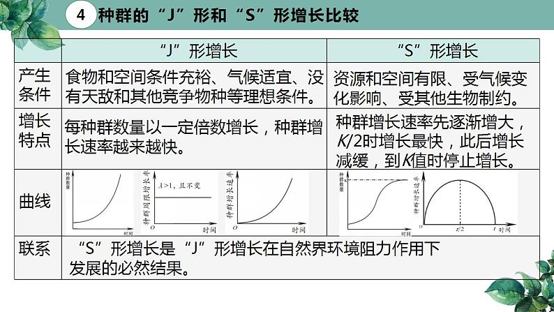 高中生物选择性必修二 1 2 种群数量的变化（第二课时）精品课件练习题第4页