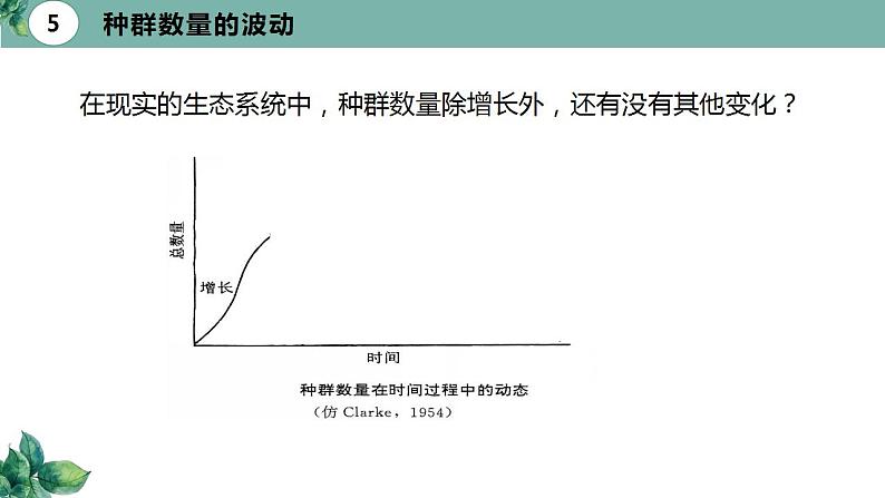 高中生物选择性必修二 1 2 种群数量的变化（第二课时）精品课件练习题第7页