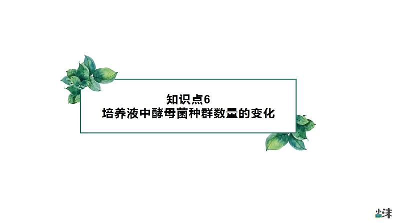 高中生物选择性必修二 1 2 种群数量的变化（第二课时）精品课件练习题第8页