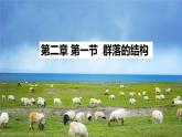 高中生物选择性必修二 2 1 群落的结构 课件练习题