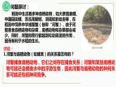 高中生物选择性必修二 2 1 群落的结构（第1课时）精讲课件练习题
