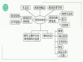 高中生物选择性必修二 2 1 群落的结构（第2课时）精讲课件练习题