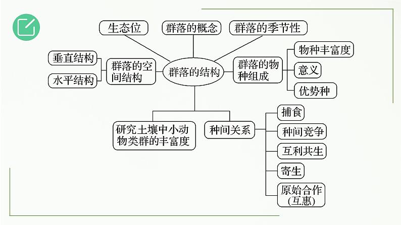 高中生物选择性必修二 2 1 群落的结构（第2课时）精讲课件练习题04