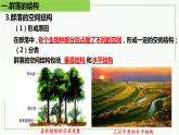 高中生物选择性必修二 2 1 群落的结构（第2课时）精讲课件练习题