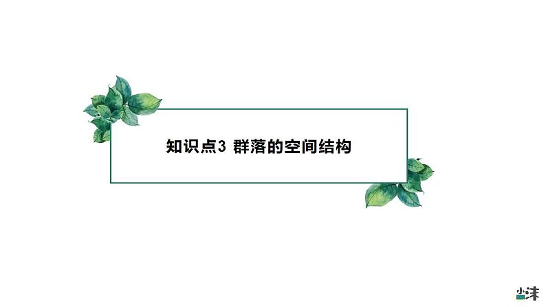 高中生物选择性必修二 2 1 群落的结构（第二课时）精品课件练习题03