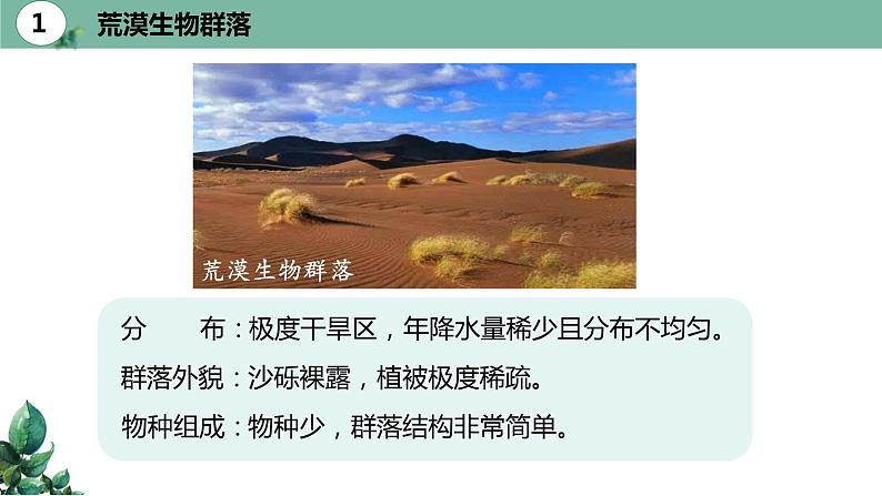 高中生物选择性必修二 2 2 群落的主要类型精品课件练习题第7页