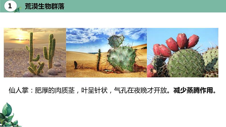 高中生物选择性必修二 2 2 群落的主要类型精品课件练习题第8页