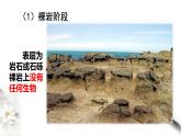 高中生物选择性必修二 2 3 群落的演替课件PPT