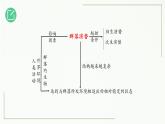 高中生物选择性必修二 2 3 群落的演替精讲课件练习题