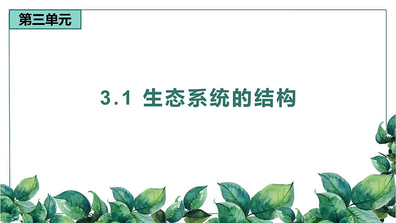 高中生物选择性必修二 3 1 生态系统的结构（第二课时）精品课件练习题01