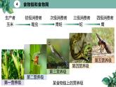 高中生物选择性必修二 3 1 生态系统的结构（第二课时）精品课件练习题