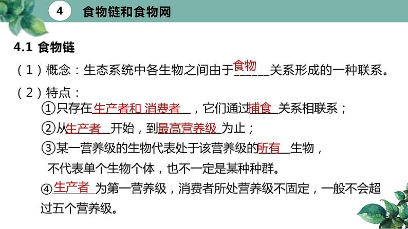 高中生物选择性必修二 3 1 生态系统的结构（第二课时）精品课件练习题06