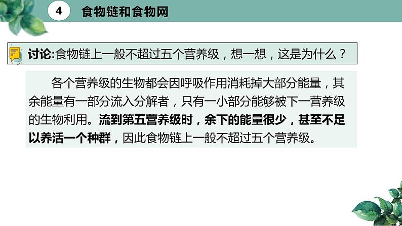 高中生物选择性必修二 3 1 生态系统的结构（第二课时）精品课件练习题07