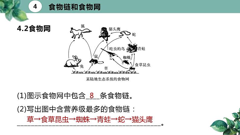 高中生物选择性必修二 3 1 生态系统的结构（第二课时）精品课件练习题08