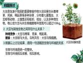 高中生物选择性必修二 3 1 生态系统的结构（第一课时）精品课件练习题