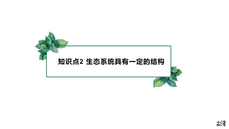 高中生物选择性必修二 3 1 生态系统的结构（第一课时）精品课件练习题07