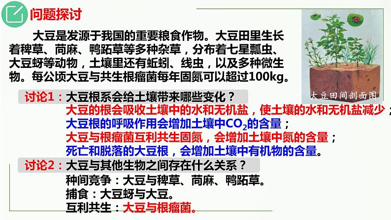 高中生物选择性必修二 3 1 生态系统的结构精讲课件练习题04