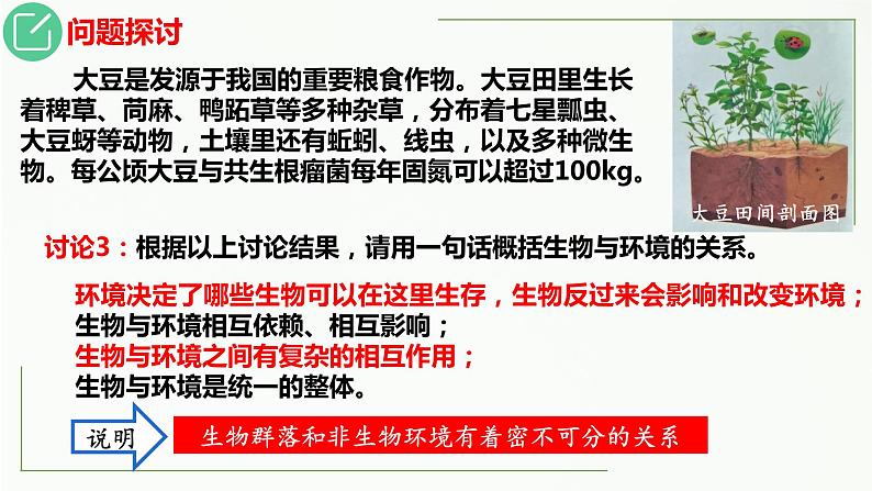 高中生物选择性必修二 3 1 生态系统的结构精讲课件练习题05