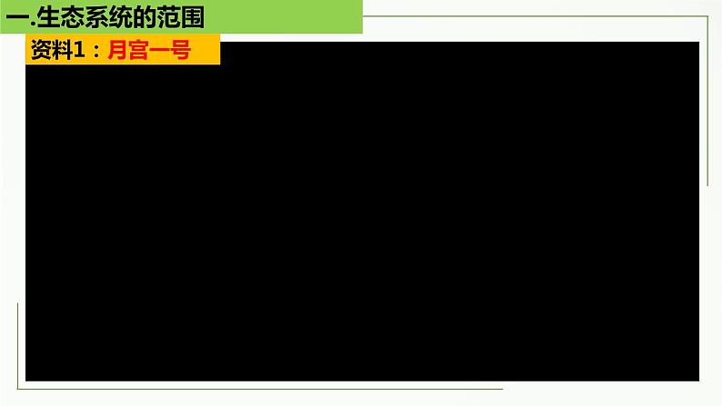 高中生物选择性必修二 3 1 生态系统的结构精讲课件练习题06