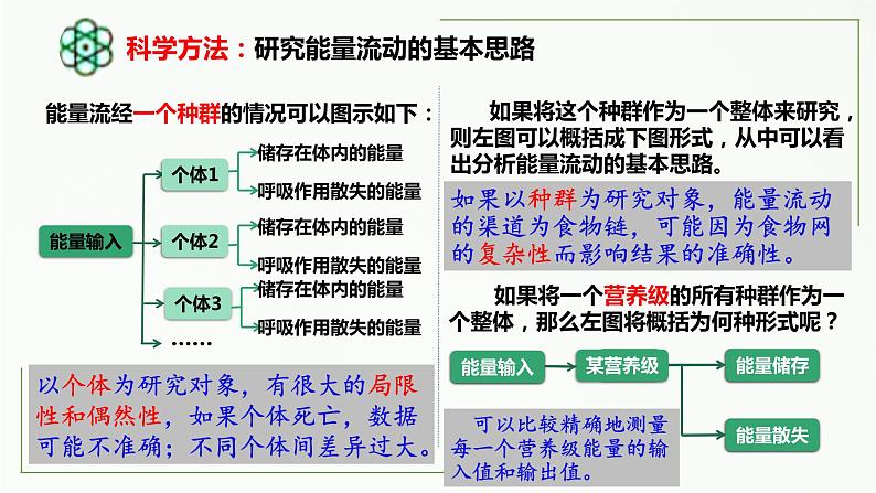 高中生物选择性必修二 3 2 生态系统的能量流动（第1课时）精讲课件练习题第6页