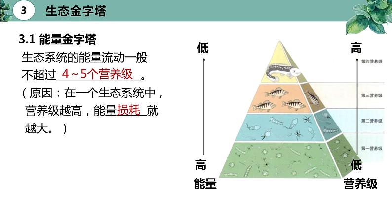 高中生物选择性必修二 3 2 生态系统的能量流动（第二课时）精品课件练习题第5页