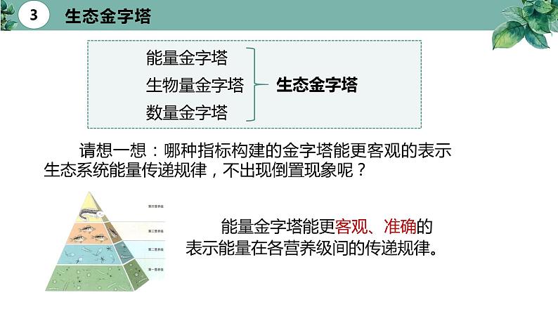 高中生物选择性必修二 3 2 生态系统的能量流动（第二课时）精品课件练习题第8页